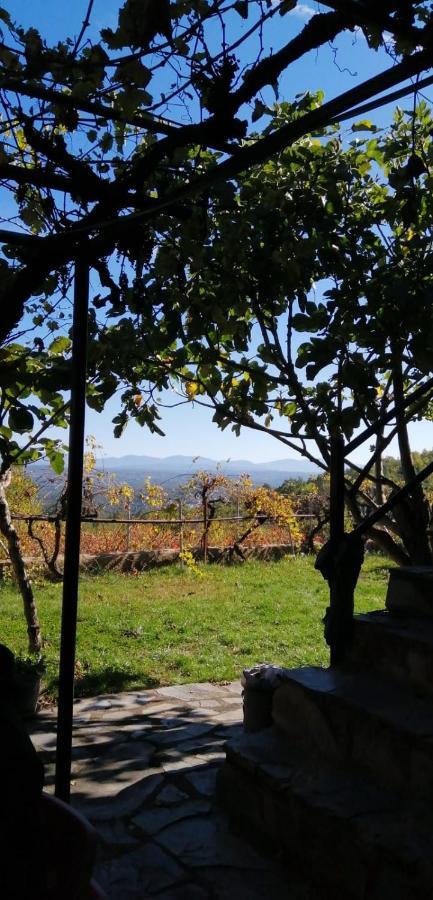 An'Ca' La Pura Pension Villanueva del Conde Buitenkant foto